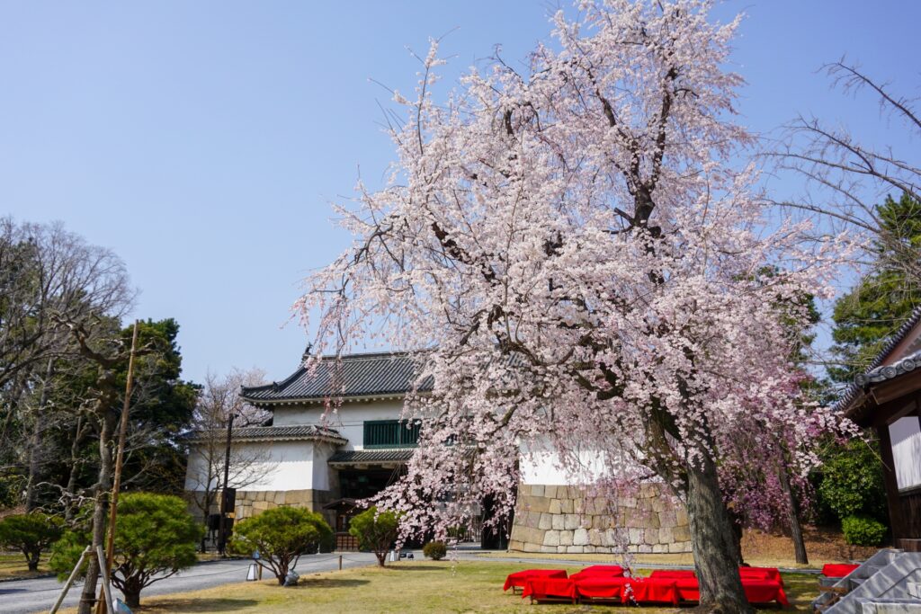 着物で行きたい春の京都桜スポット10選🌸